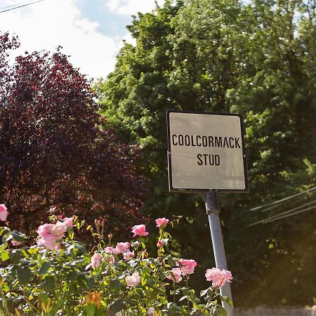 Coolcormack Stud B&B Dungarvan  Eksteriør bilde