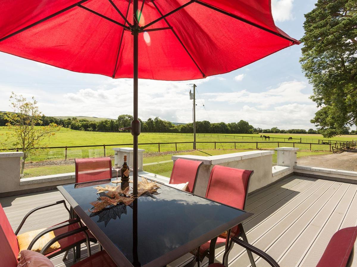 Coolcormack Stud B&B Dungarvan  Eksteriør bilde
